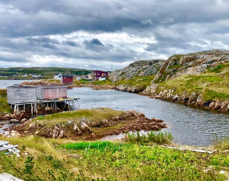 Explore Fogo & Change Islands 