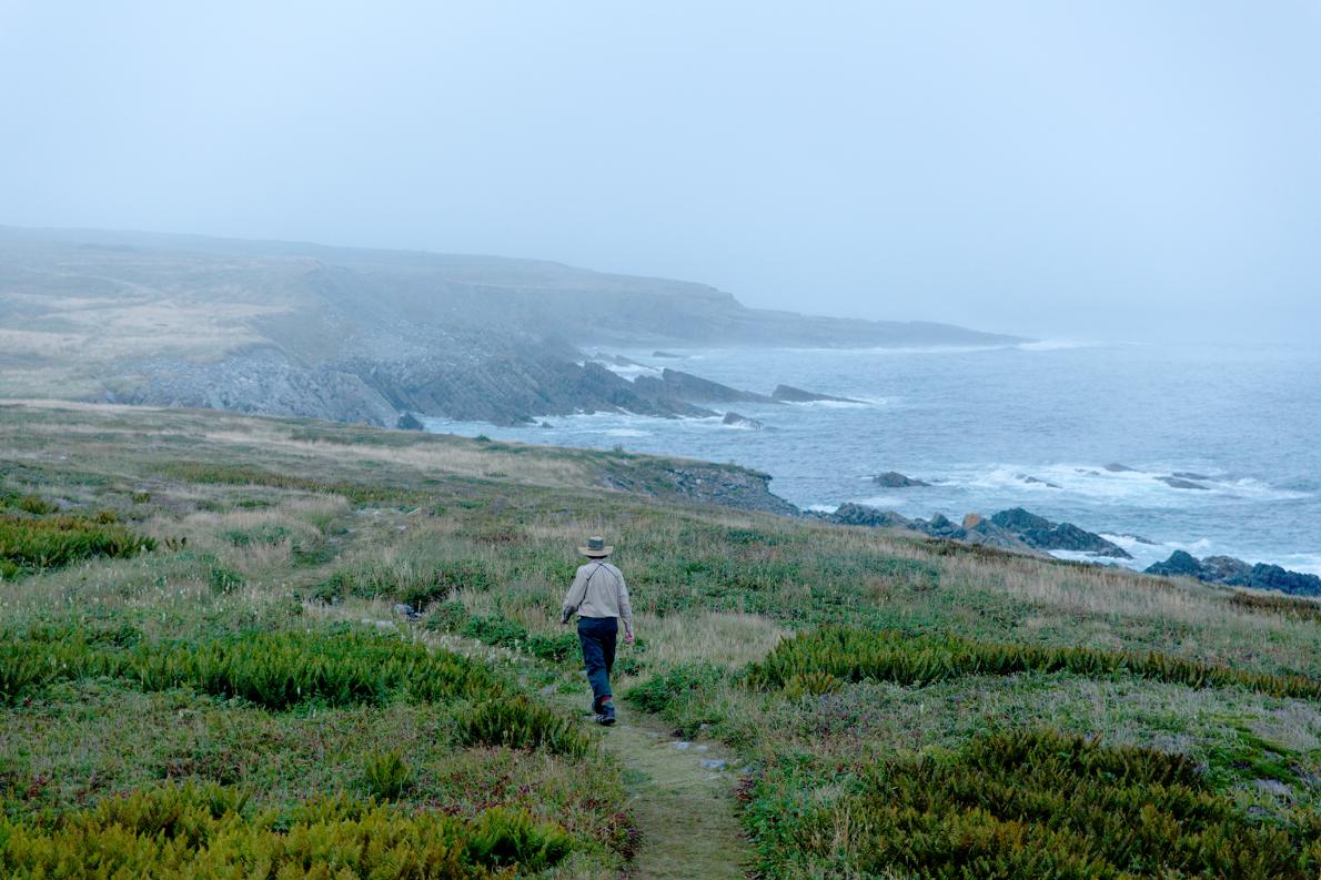 A lone person walks along a grassy path near a rugged coastline. The sky is overcast and foggy, and the sea is calm, creating a serene and tranquil atmosphere.